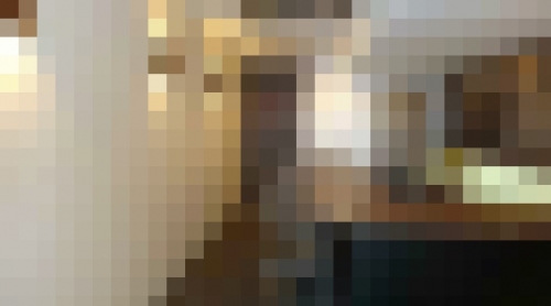 ���԰������ ������ε�ȴ��Ź�ޡ��ƥʥ�����ߤβ���