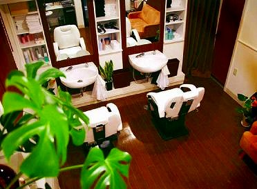 ��Ժ�� ��̫�ε�ȴ��Ź�ޡ��ƥʥ�����ߤβ���