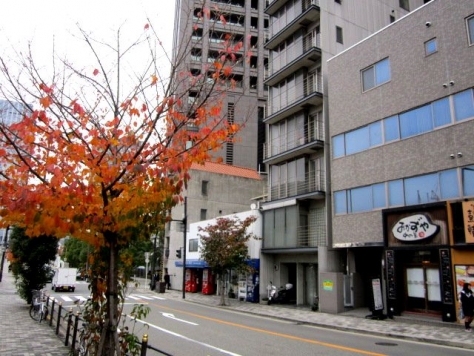 �����̶� ��嶶�ε�ȴ��Ź�ޡ��ƥʥ�����ߤβ���