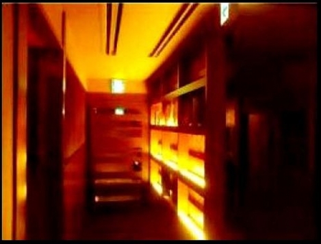 ��������� ëĮ�����ܤε�ȴ��Ź�ޡ��ƥʥ�����ߤβ���