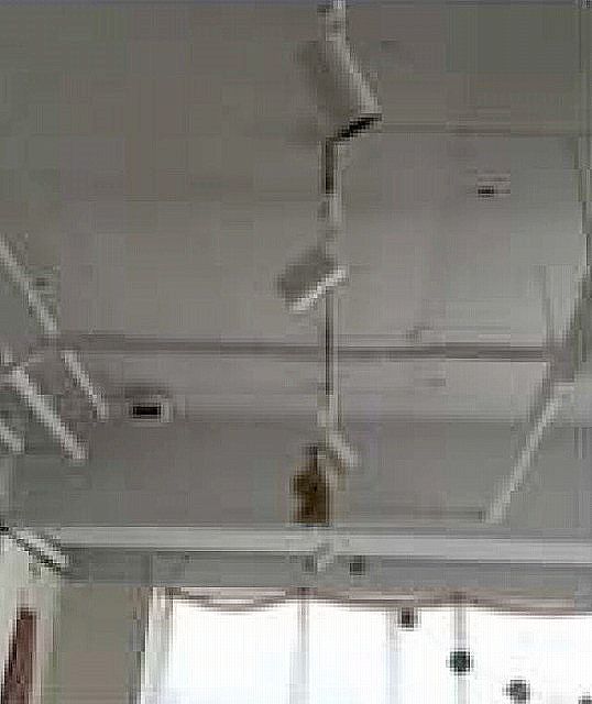 �������� ��嶶�ε�ȴ��Ź�ޡ��ƥʥ�����ߤδּ�����