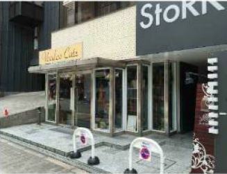 �������� �ͥĶ��ε�ȴ��Ź�ޡ��ƥʥ�����ߤβ���