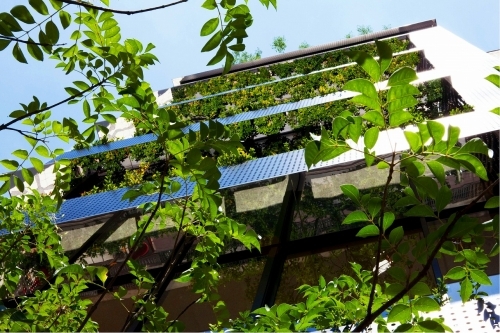 ��������� Ĺ�ٶ��ε�ȴ��Ź�ޡ��ƥʥ�����ߤβ���