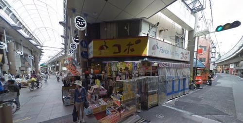 ��������� �����ε�ȴ��Ź�ޡ��ƥʥ�����ߤβ���