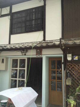 �����̶� ���Į�ε�ȴ��Ź�ޡ��ƥʥ�����ߤβ���