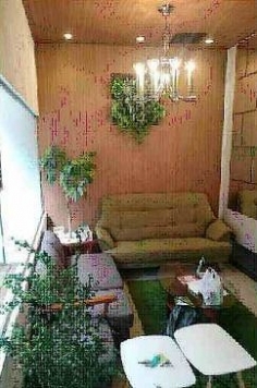 �������� ���綶�ε�ȴ��Ź�ޡ��ƥʥ�����ߤβ���