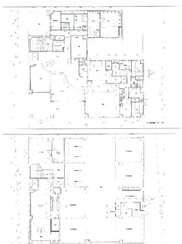 ���ڻ� ���ڤε�ȴ��Ź�ޡ��ƥʥ�����ߤδּ�����