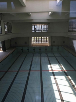 ���Խ�Ƿ���� ʿ�Ӥε�ȴ��Ź�ޡ��ƥʥ�����ߤβ���