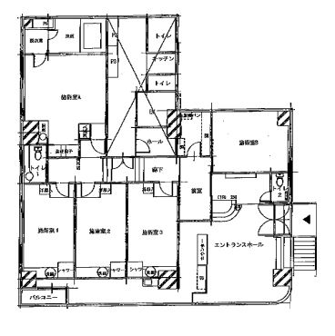 ����ʡ��� ʡ��ε�ȴ��Ź�ޡ��ƥʥ�����ߤδּ�����