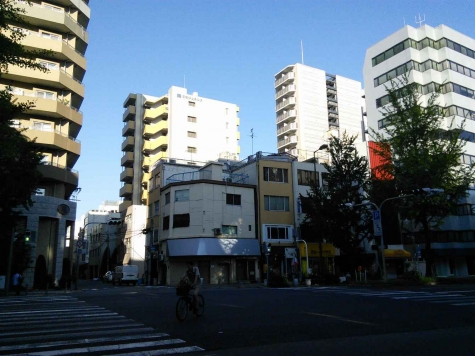 �������� ��嶶�ε�ȴ��Ź�ޡ��ƥʥ�����ߤβ���