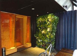 ��������� ���ض��ε�ȴ��Ź�ޡ��ƥʥ�����ߤβ���