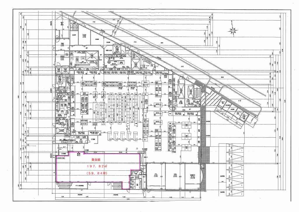 ����ʿ��� ʿ��ε�ȴ��Ź�ޡ��ƥʥ�����ߤδּ�����