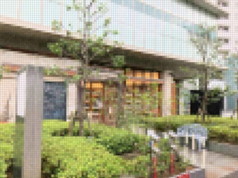 ����ʡ��� ʡ��ε�ȴ��Ź�ޡ��ƥʥ�����ߤβ���