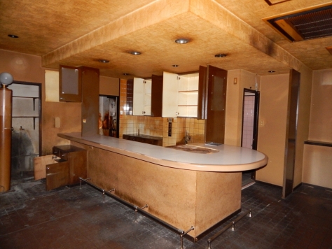 �����̶� ʡ��ε�ȴ��Ź�ޡ��ƥʥ�����ߤβ���