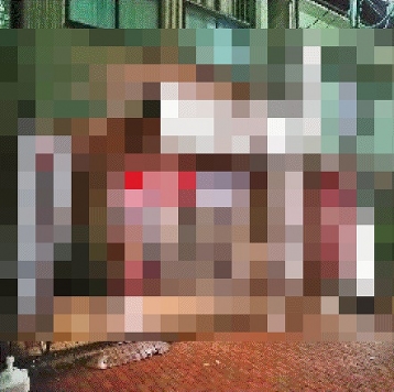 ��� ����ε�ȴ��Ź�ޡ��ƥʥ�����ߤβ���