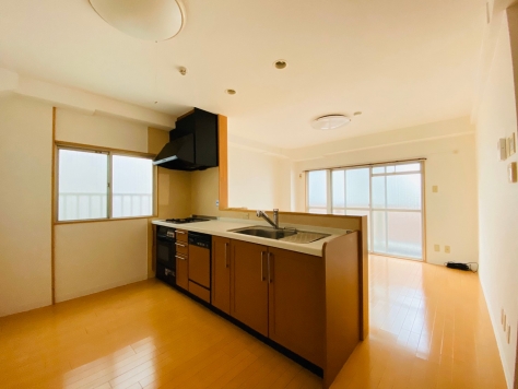 ��������� ���ͤε�ȴ��Ź�ޡ��ƥʥ�����ߤβ���