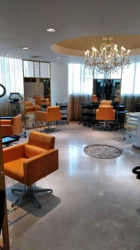 ƣ����� ƣ����ε�ȴ��Ź�ޡ��ƥʥ�����ߤβ���