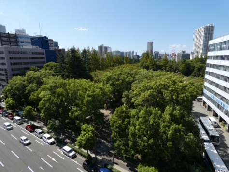 �������� ��Į�ε�ȴ��Ź�ޡ��ƥʥ�����ߤβ���