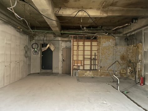 �������� ���Ⱥ¤ε�ȴ��Ź�ޡ��ƥʥ�����ߤβ���