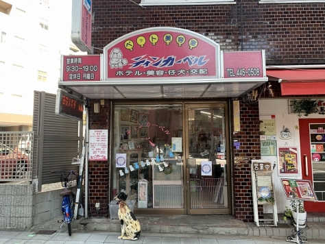 ����ʡ��� ���ĺ���ε�ȴ��Ź�ޡ��ƥʥ�����ߤβ���