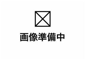 ����������� �忷���ε�ȴ��Ź�ޡ��ƥʥ�����ߤδּ�����