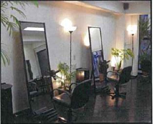 �������� ���Ⱥ¤ε�ȴ��Ź�ޡ��ƥʥ�����ߤβ���