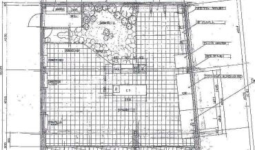 ����ʿ��� �иͤε�ȴ��Ź�ޡ��ƥʥ�����ߤδּ�����