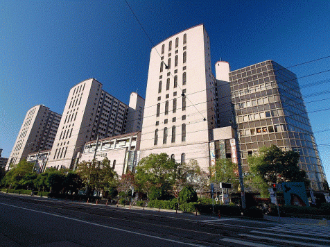 ���԰������ ������ε�ȴ��Ź�ޡ��ƥʥ�����ߤβ���