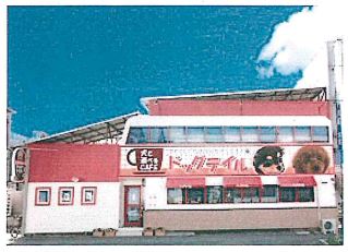 Ȭ���� ��ŴȬ���ε�ȴ��Ź�ޡ��ƥʥ�����ߤβ���