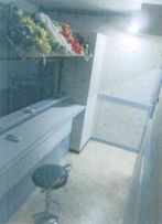 ��������� ���ܶ��ε�ȴ��Ź�ޡ��ƥʥ�����ߤβ���