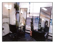 �������� ���Ⱥ¤ε�ȴ��Ź�ޡ��ƥʥ�����ߤβ���