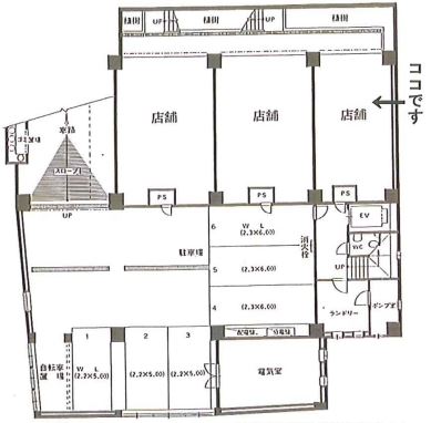 ��������� ��Į�ε�ȴ��Ź�ޡ��ƥʥ�����ߤδּ�����