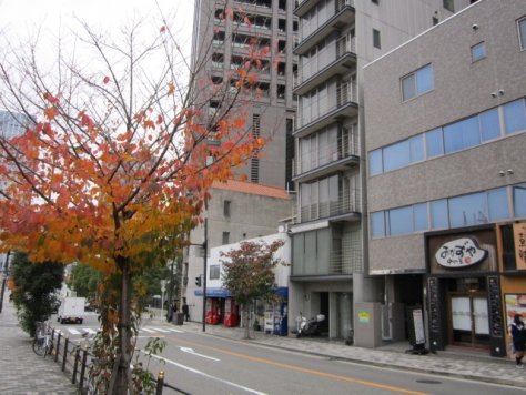 �����̶� ��嶶�ε�ȴ��Ź�ޡ��ƥʥ�����ߤβ���