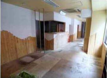 ����������� ���ܤε�ȴ��Ź�ޡ��ƥʥ�����ߤβ���